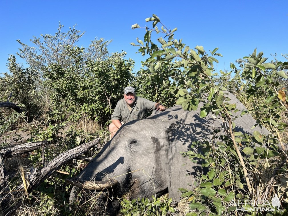 Elephant Hunt Namibia | AfricaHunting.com