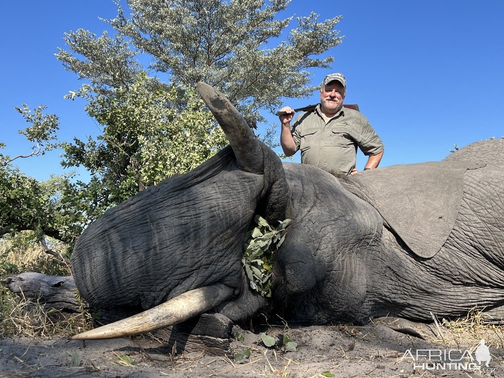 Elephant Hunt Namibia