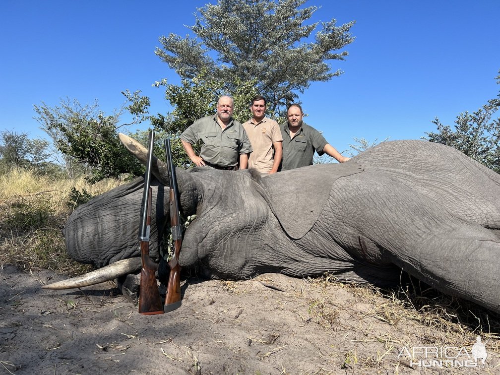 Elephant Hunt Namibia | AfricaHunting.com