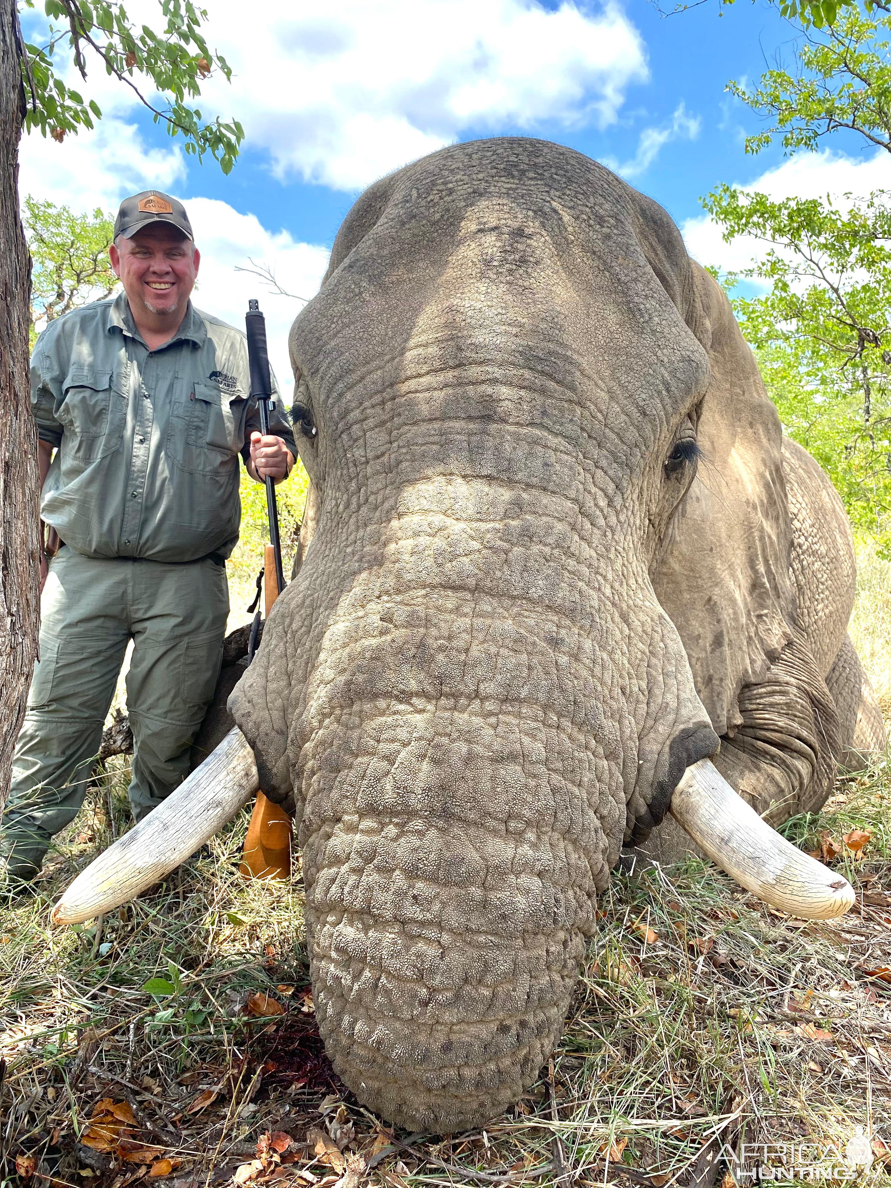 Elephant Hunt South Africa