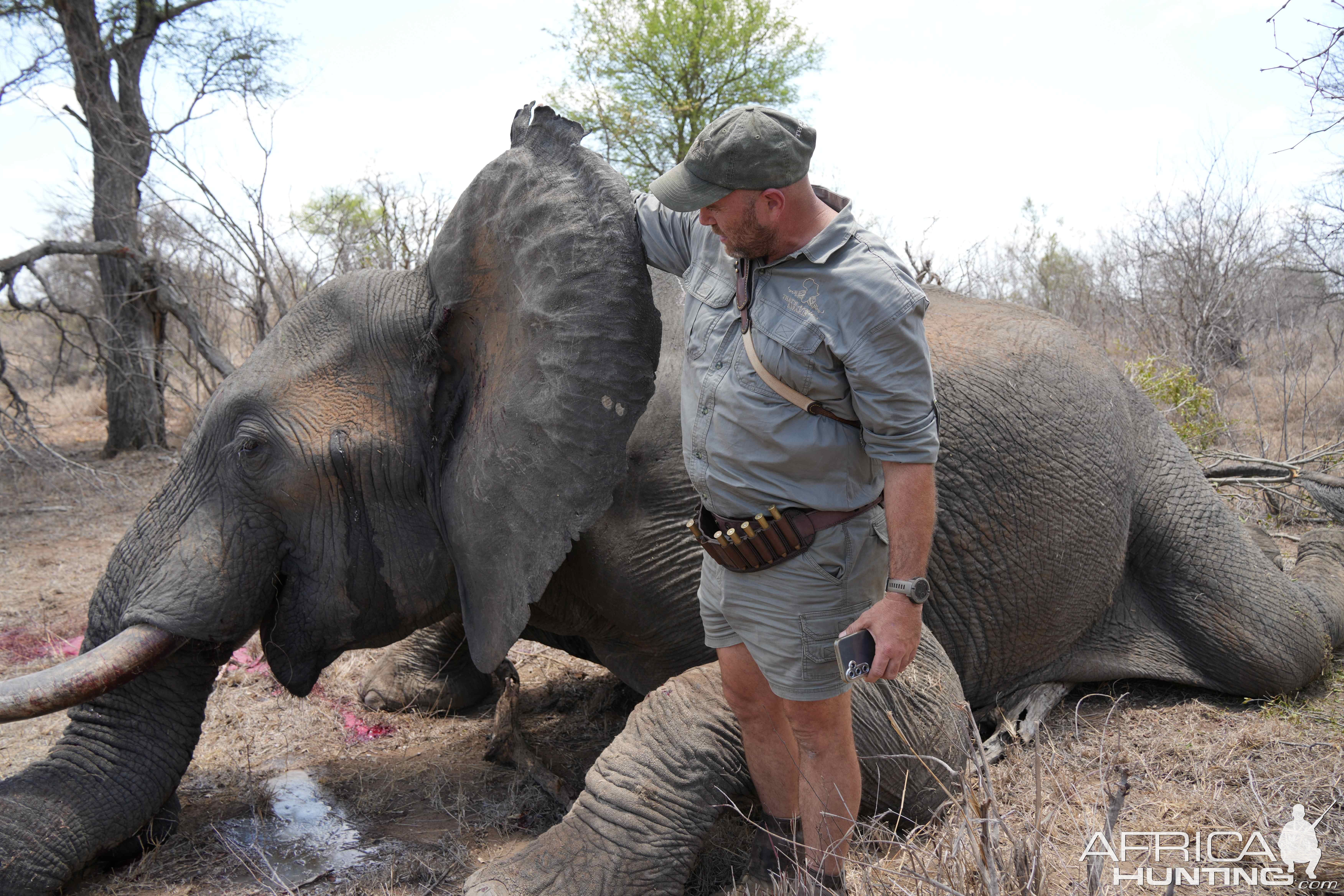 Elephant Hunt South Africa