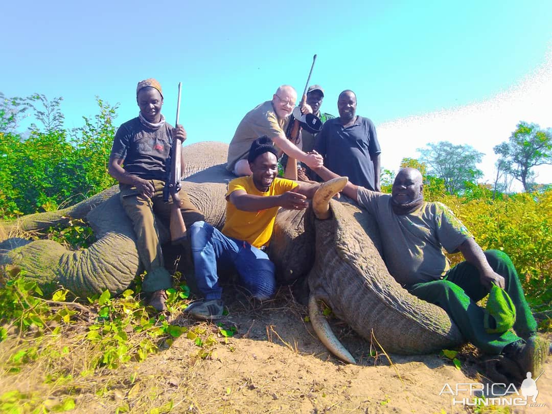 Elephant Hunt Zimbabwe