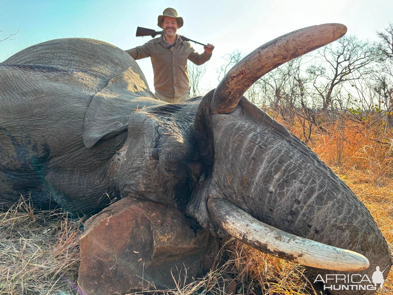 Elephant Hunt Zimbabwe