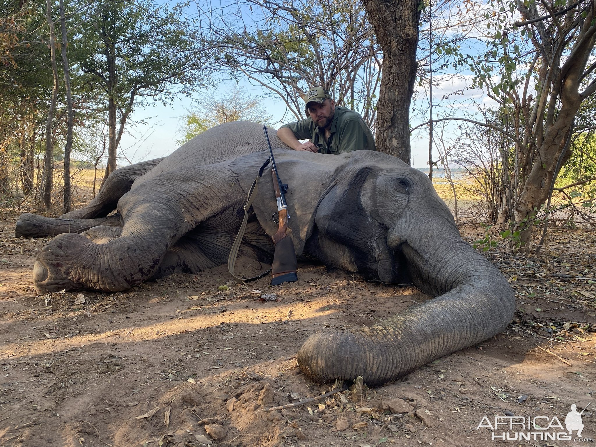 Elephant Hunt Zimbabwe