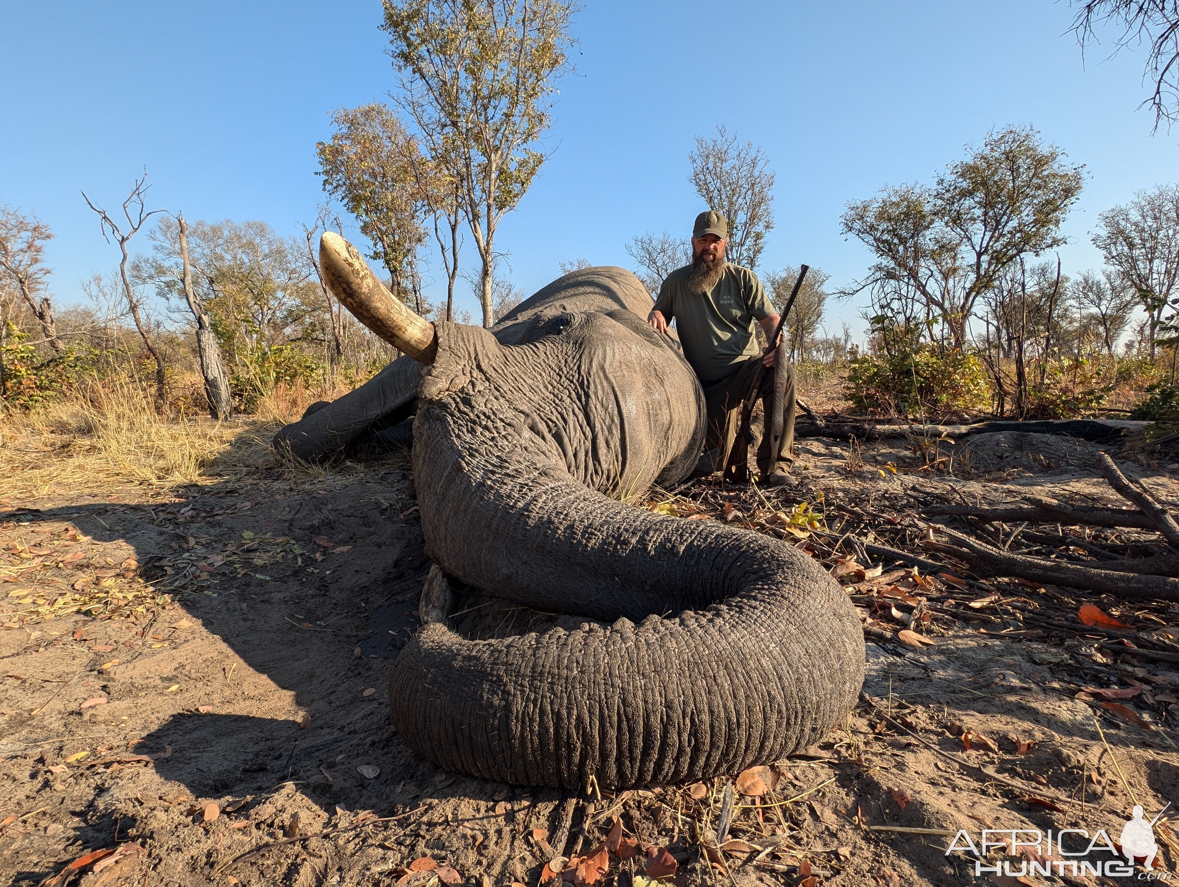 Elephant Hunt Zimbabwe