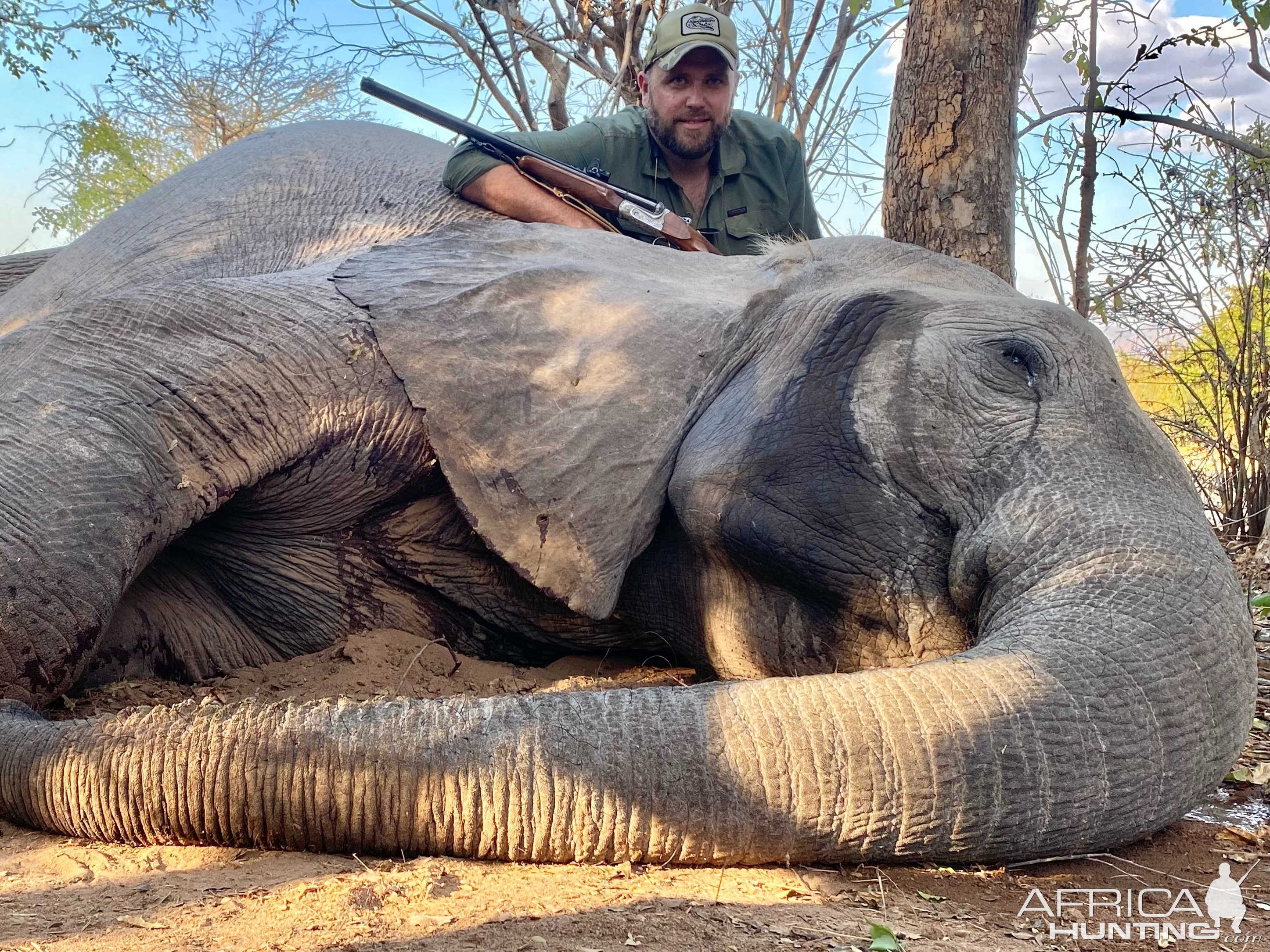 Elephant Hunt Zimbabwe