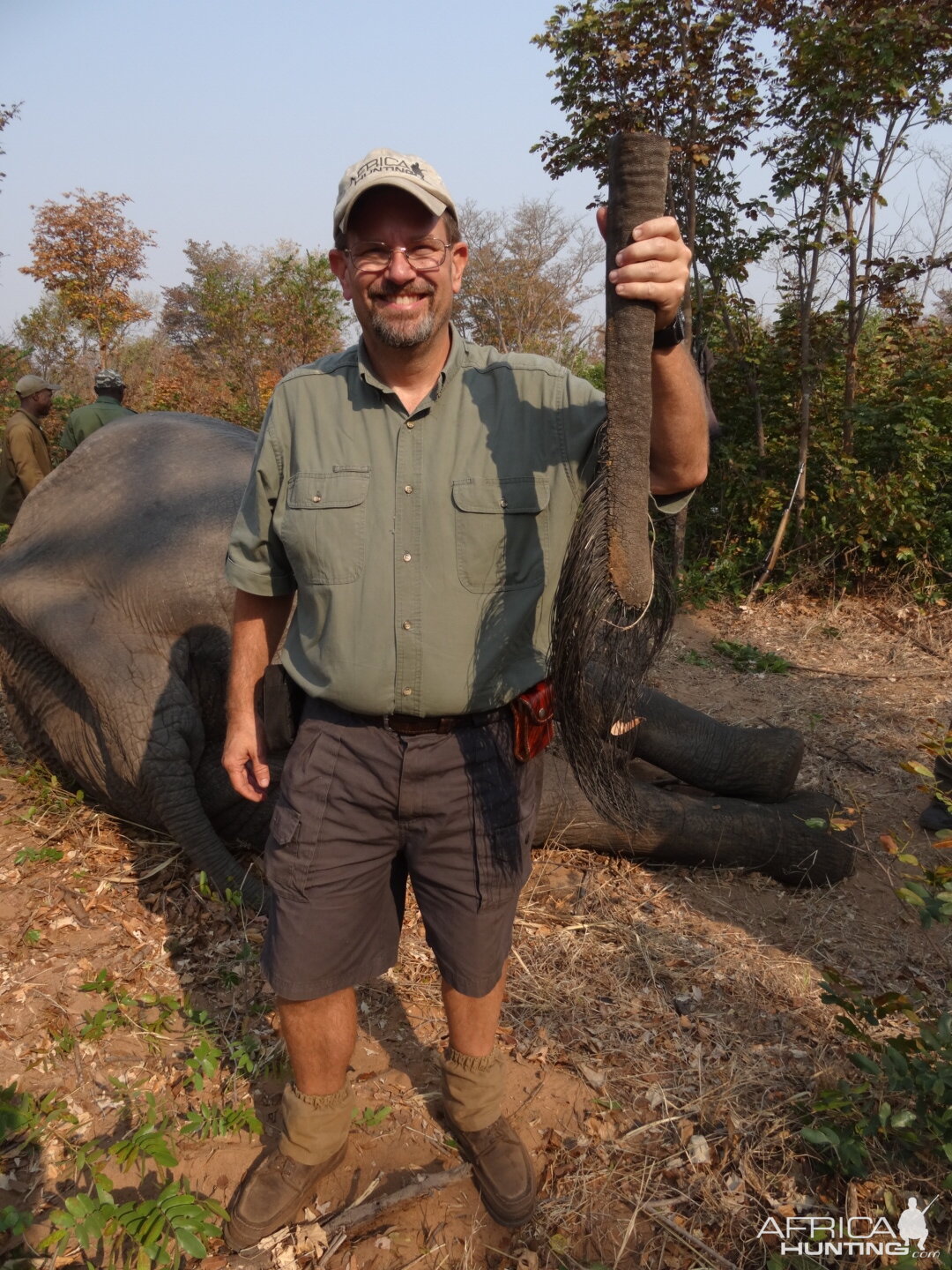 Elephant Hunt Zimbabwe | AfricaHunting.com