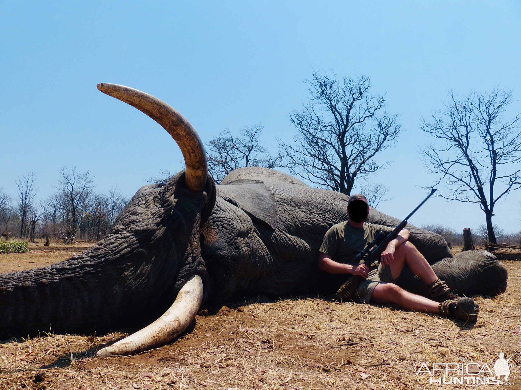 Elephant Hunt Zimbabwe | AfricaHunting.com