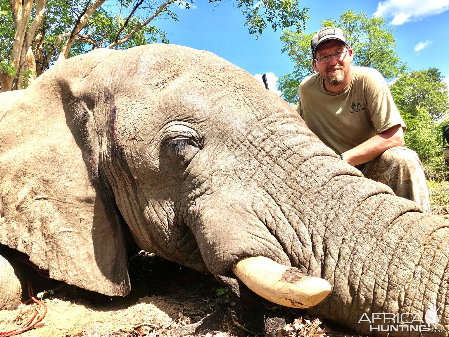 Elephant Hunt Zimbabwe | AfricaHunting.com