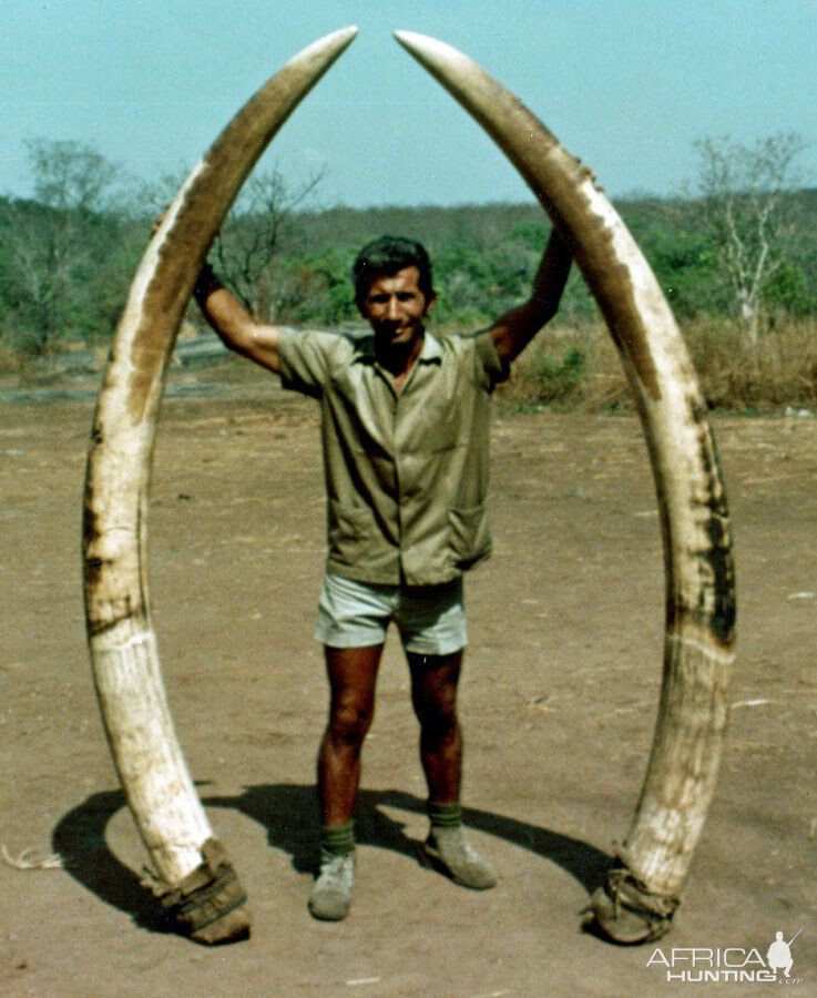 Elephant Hunt | AfricaHunting.com