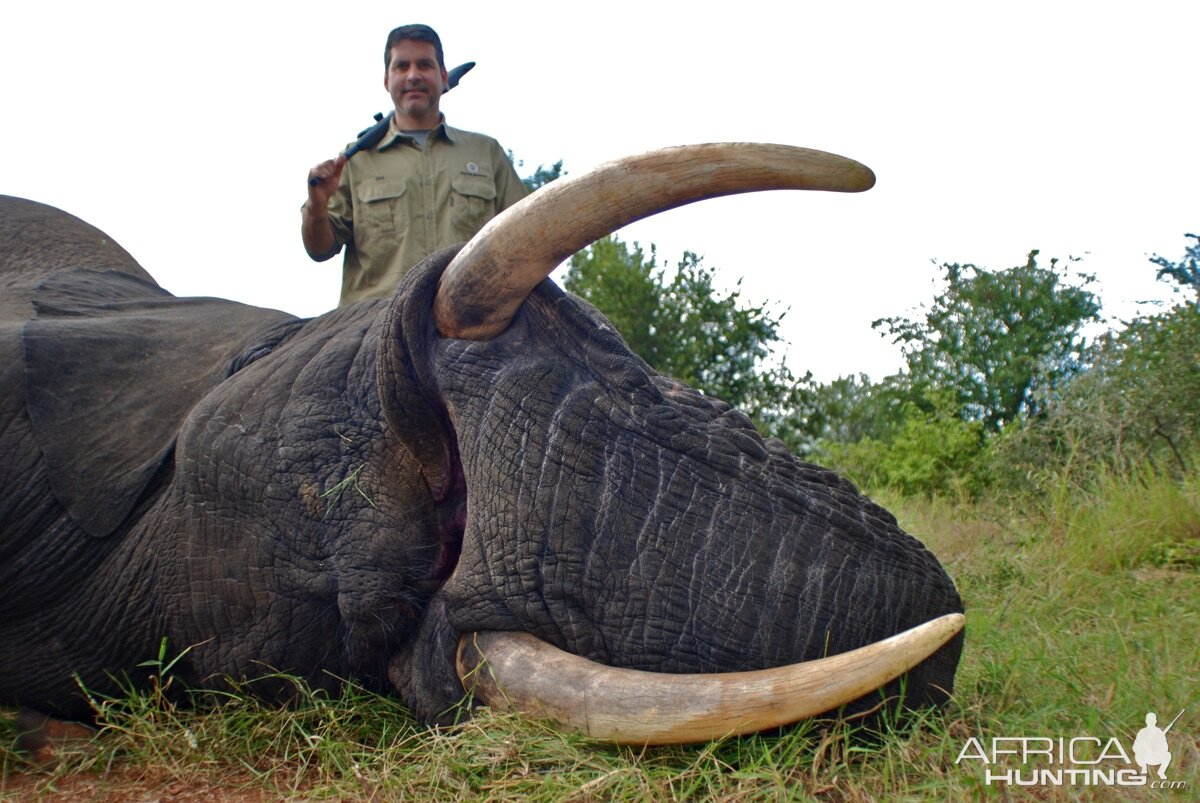 Elephant Hunt | AfricaHunting.com