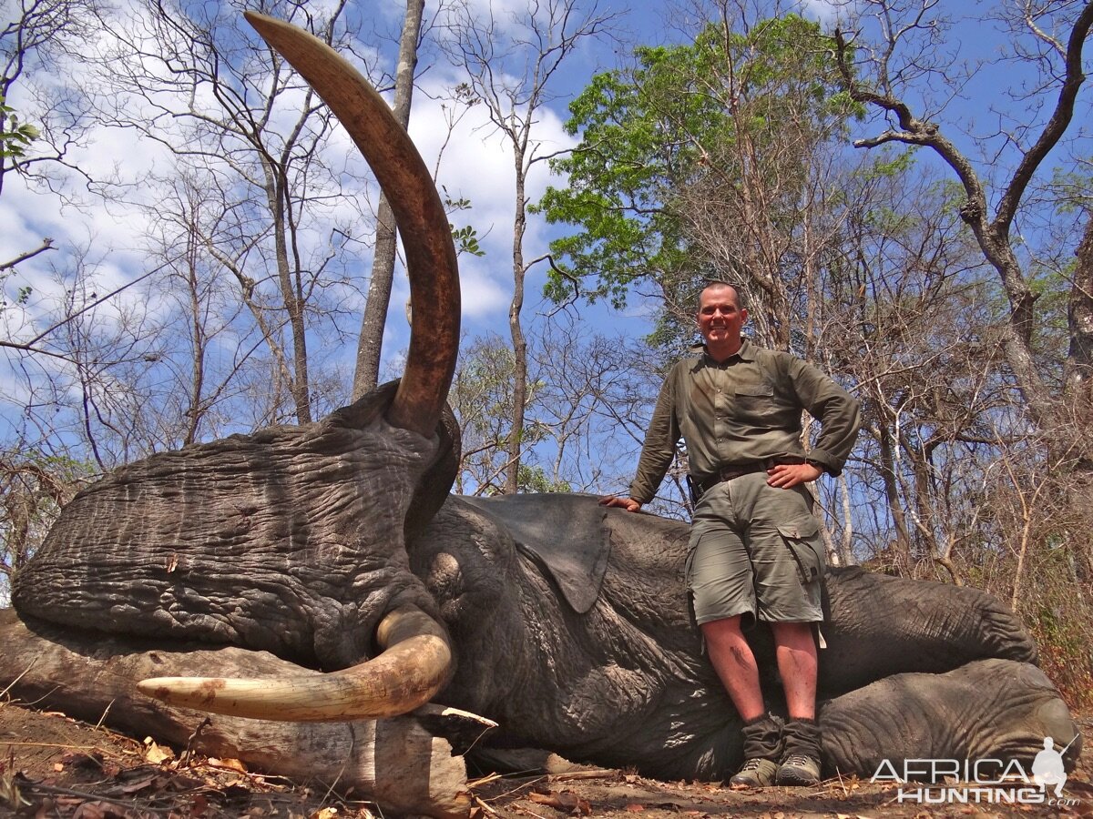 Elephant Hunt | AfricaHunting.com