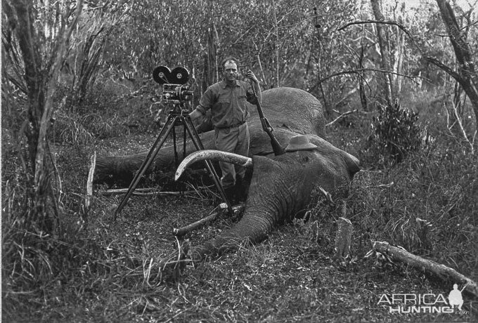 Elephant Hunt | AfricaHunting.com