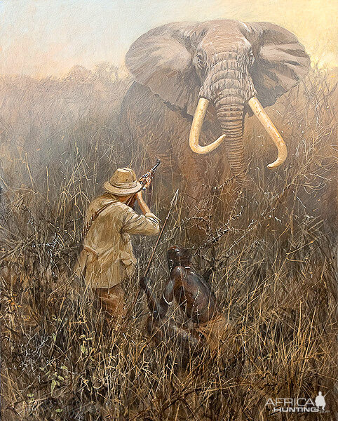 Elephant Hunt | AfricaHunting.com