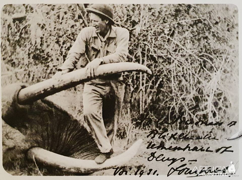 Elephant Hunt | AfricaHunting.com