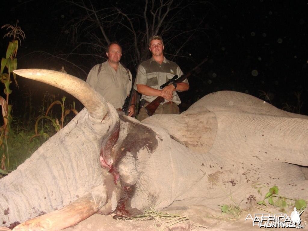 Elephant hunted with PH Hein Uys