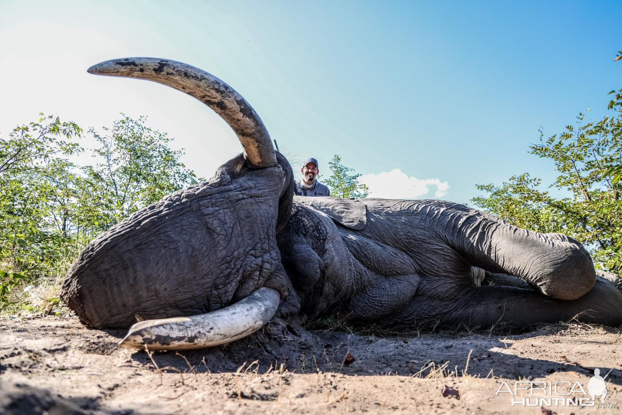 Elephant Hunting Botswana | AfricaHunting.com