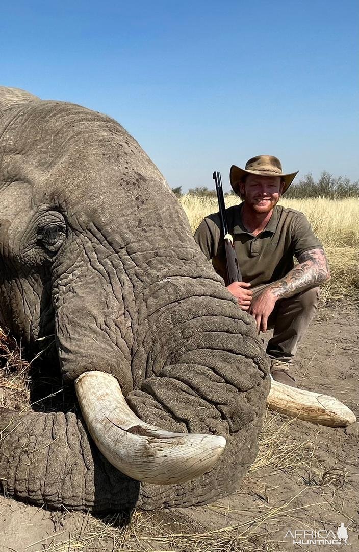 Elephant Hunting Botswana | AfricaHunting.com