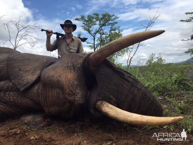 Elephant Hunting in Zimbabwe