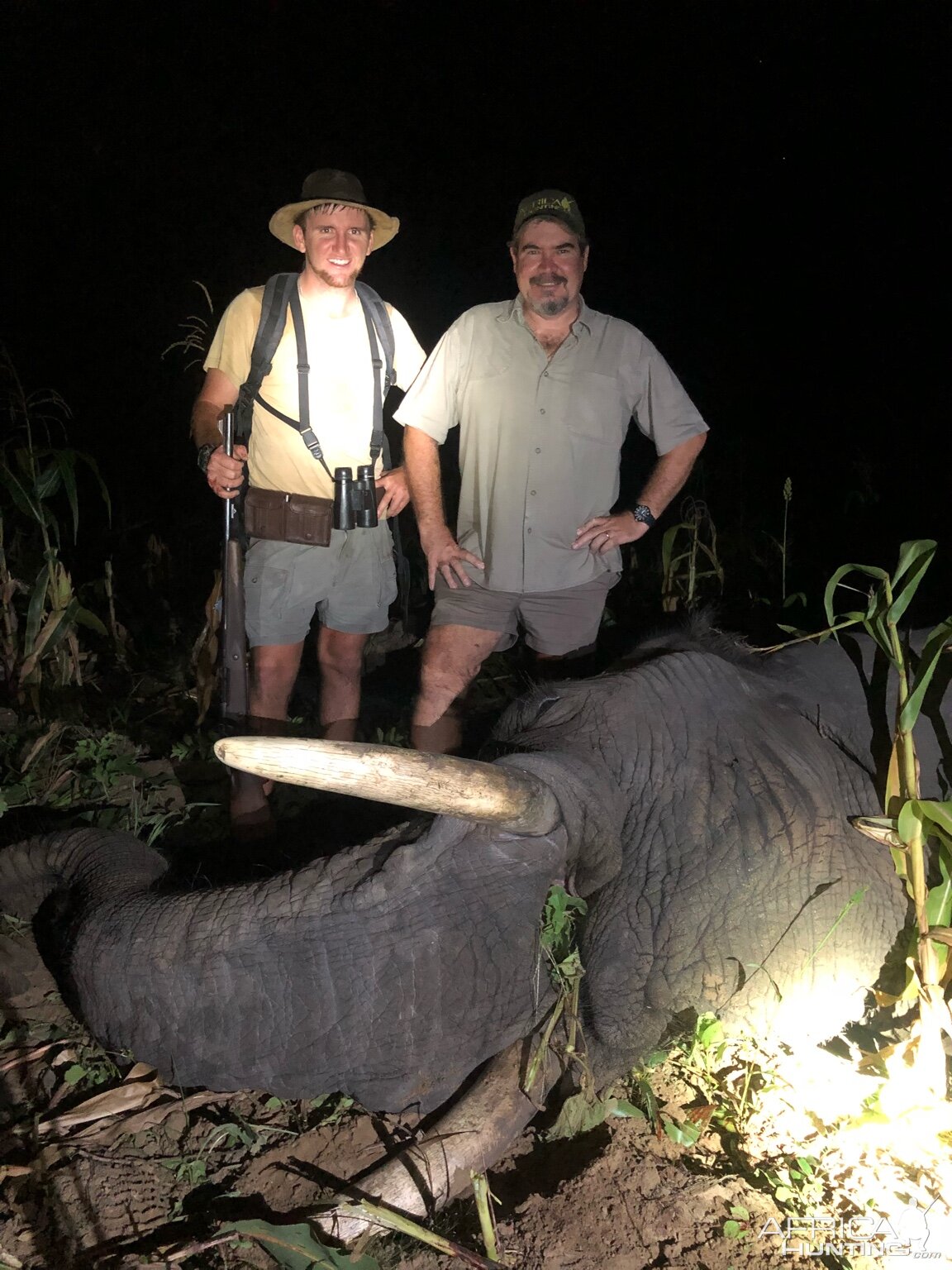 Elephant Hunting in Zimbabwe | AfricaHunting.com