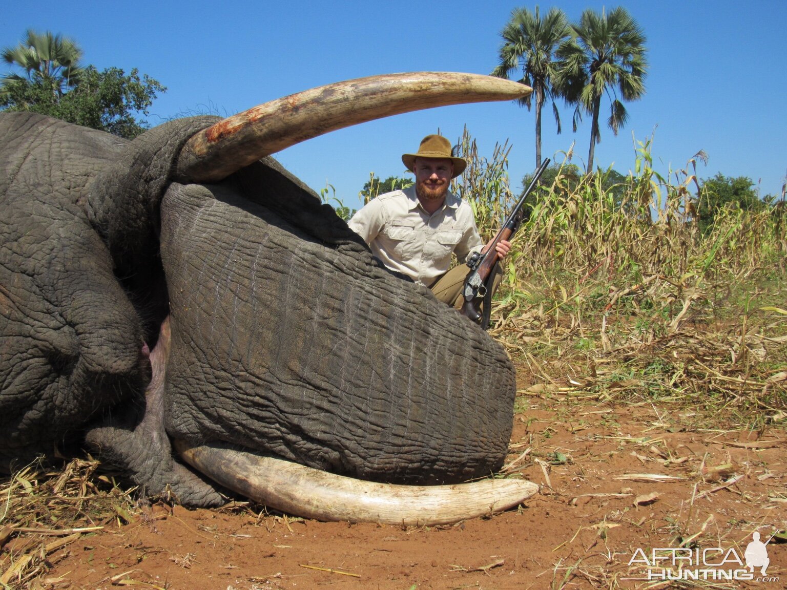 Elephant Hunting in Zimbabwe