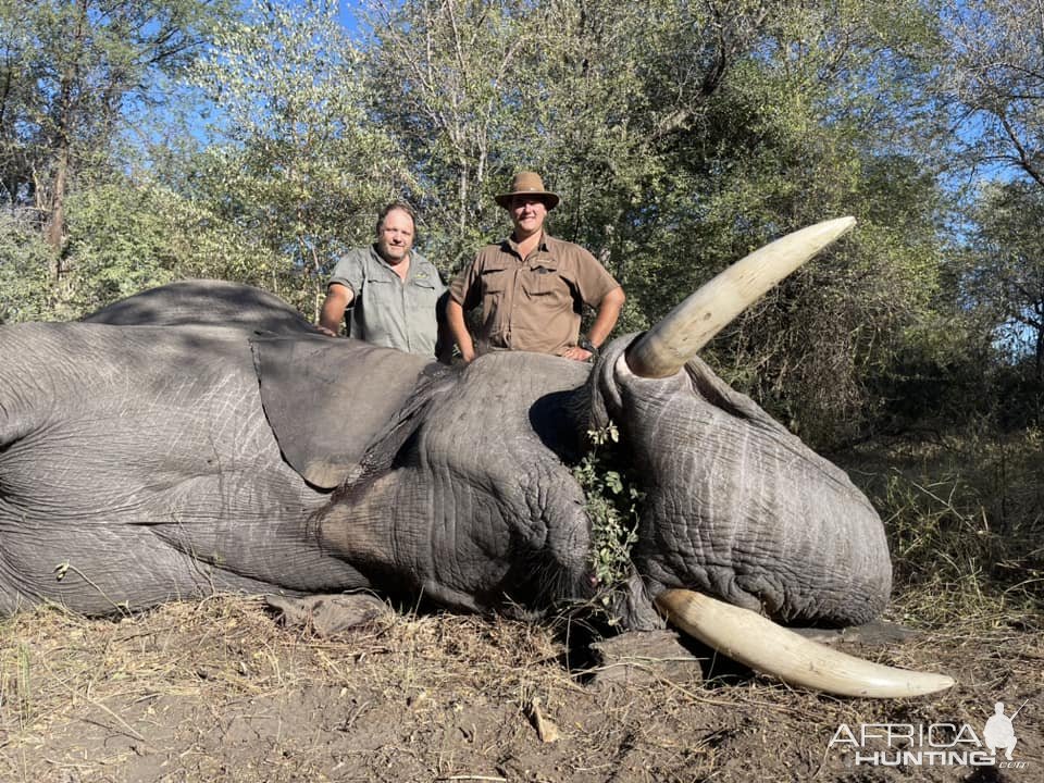 Elephant Hunting Namibia