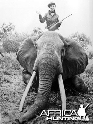 Elephant Hunting Safari | AfricaHunting.com