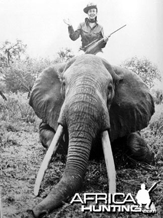Elephant Hunting Safari