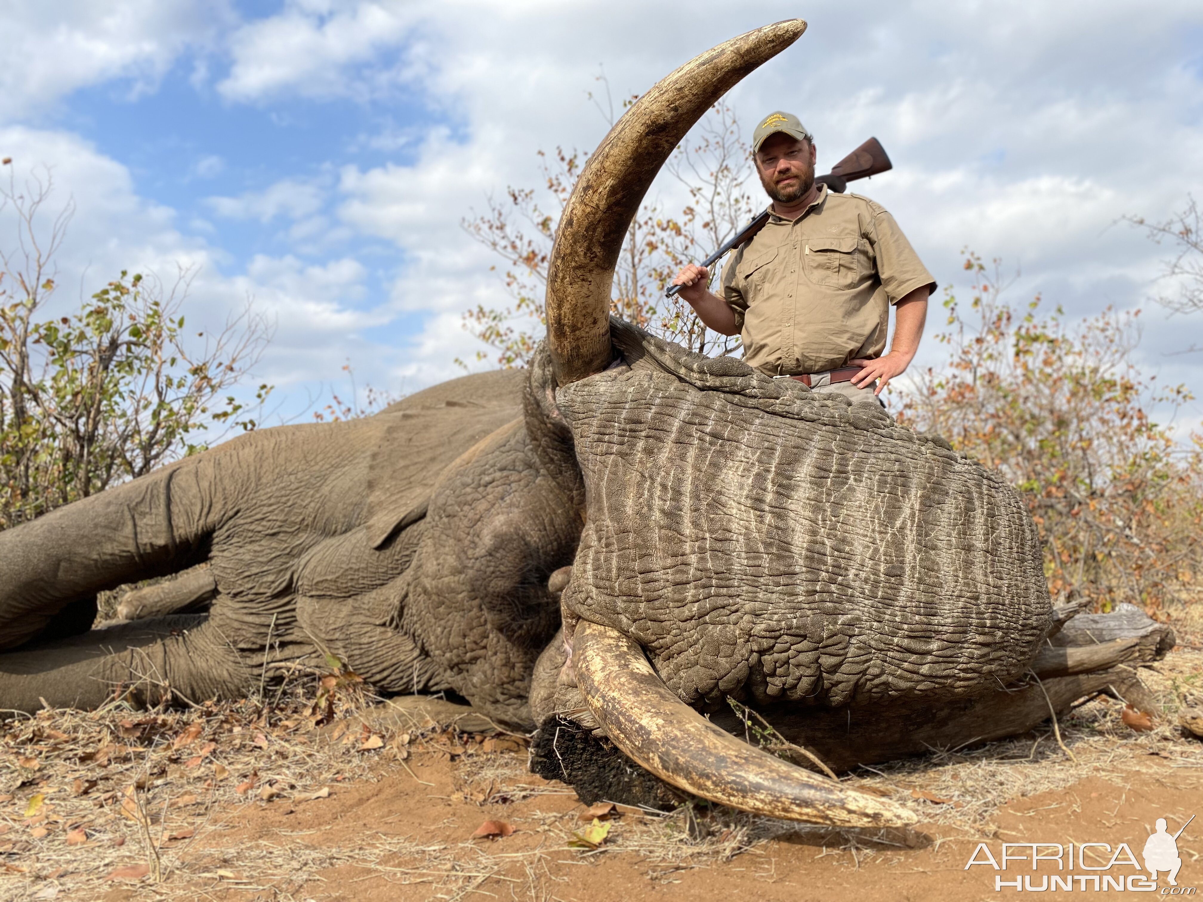 Elephant Hunting South Africa | AfricaHunting.com