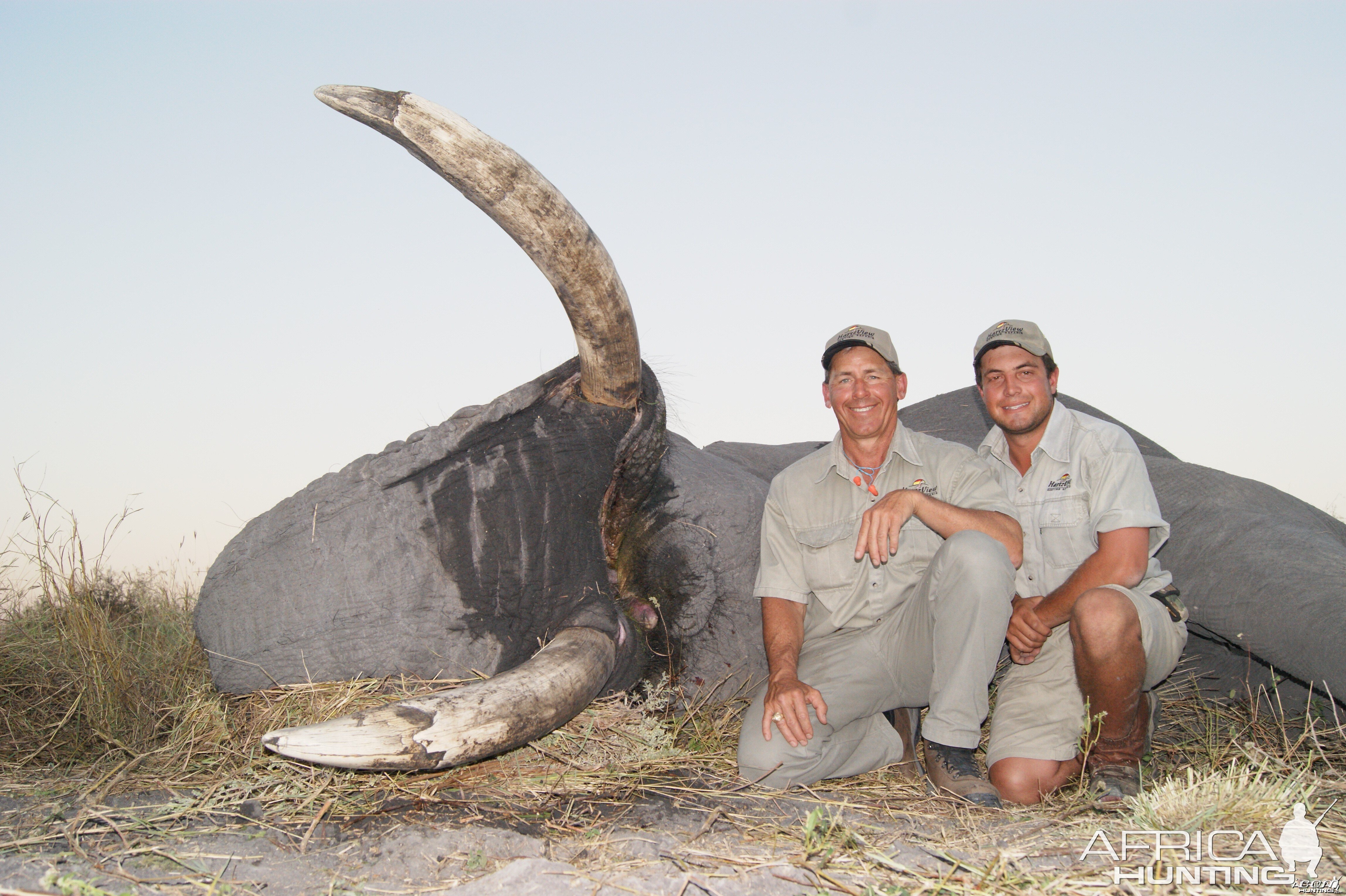 Elephant hunting with Hartzview Hunting Safaris