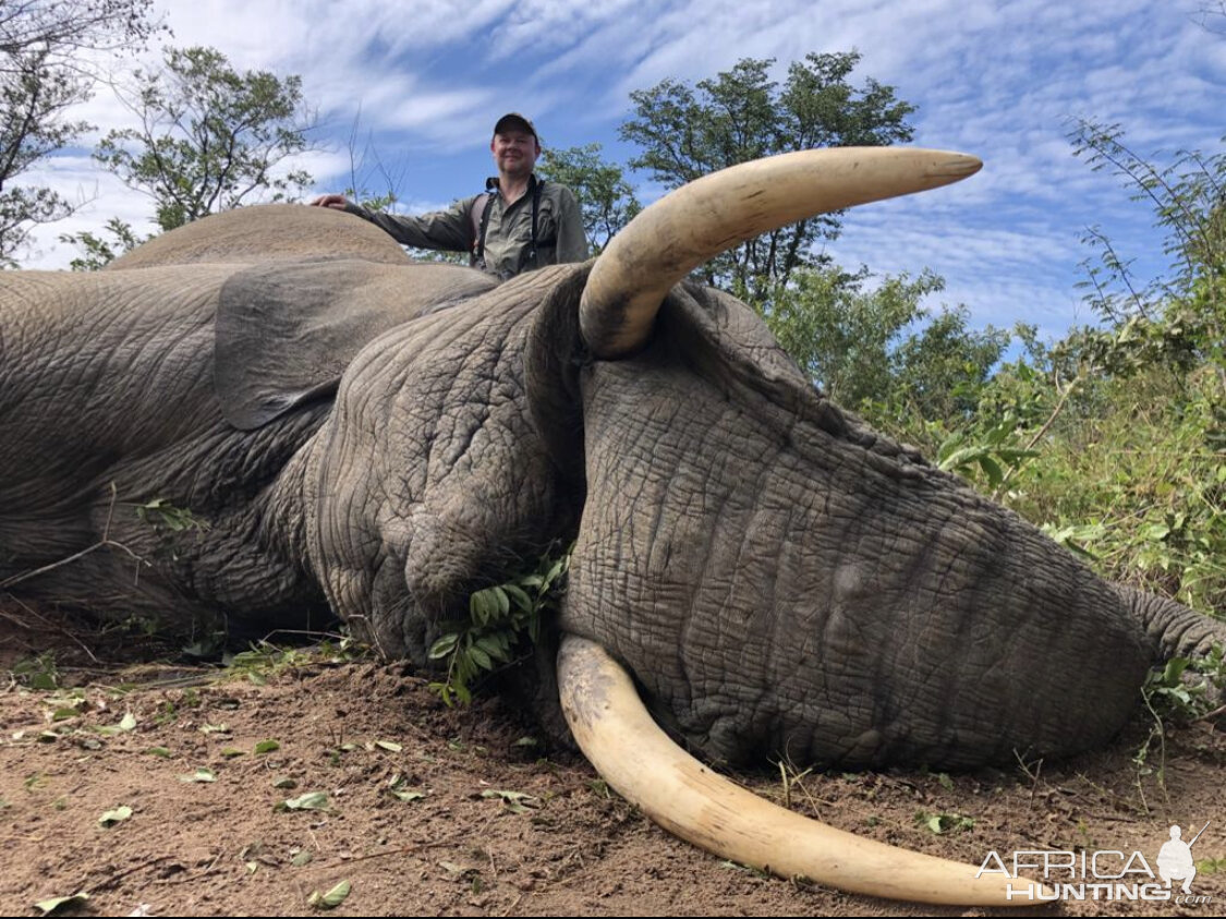 Elephant Hunting Zimbabwe