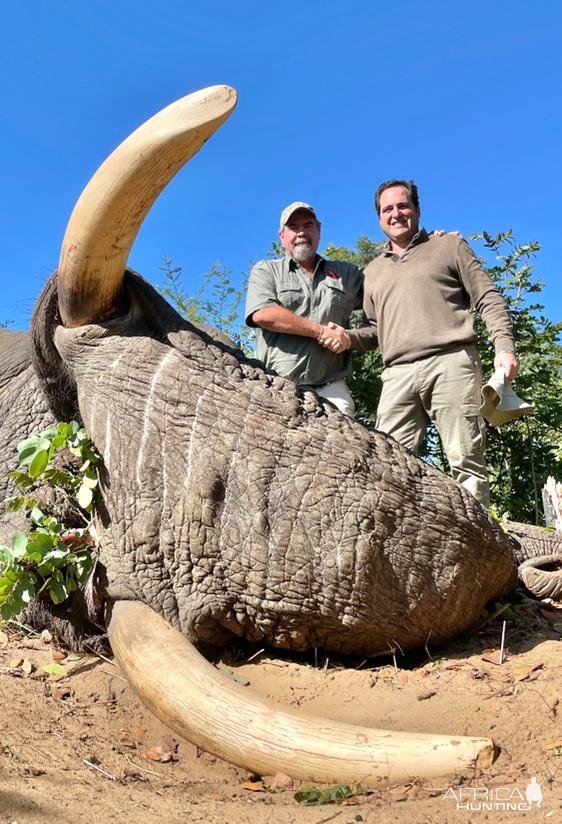 Elephant Hunting Zimbabwe | AfricaHunting.com