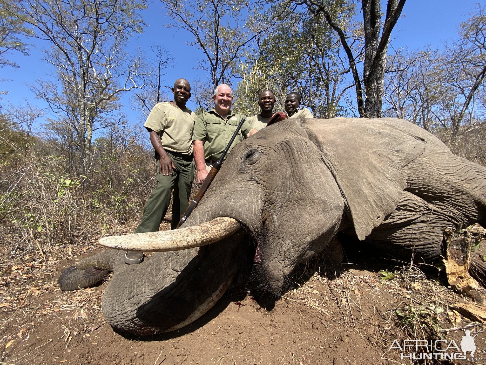 Elephant Hunting Zimbabwe | AfricaHunting.com