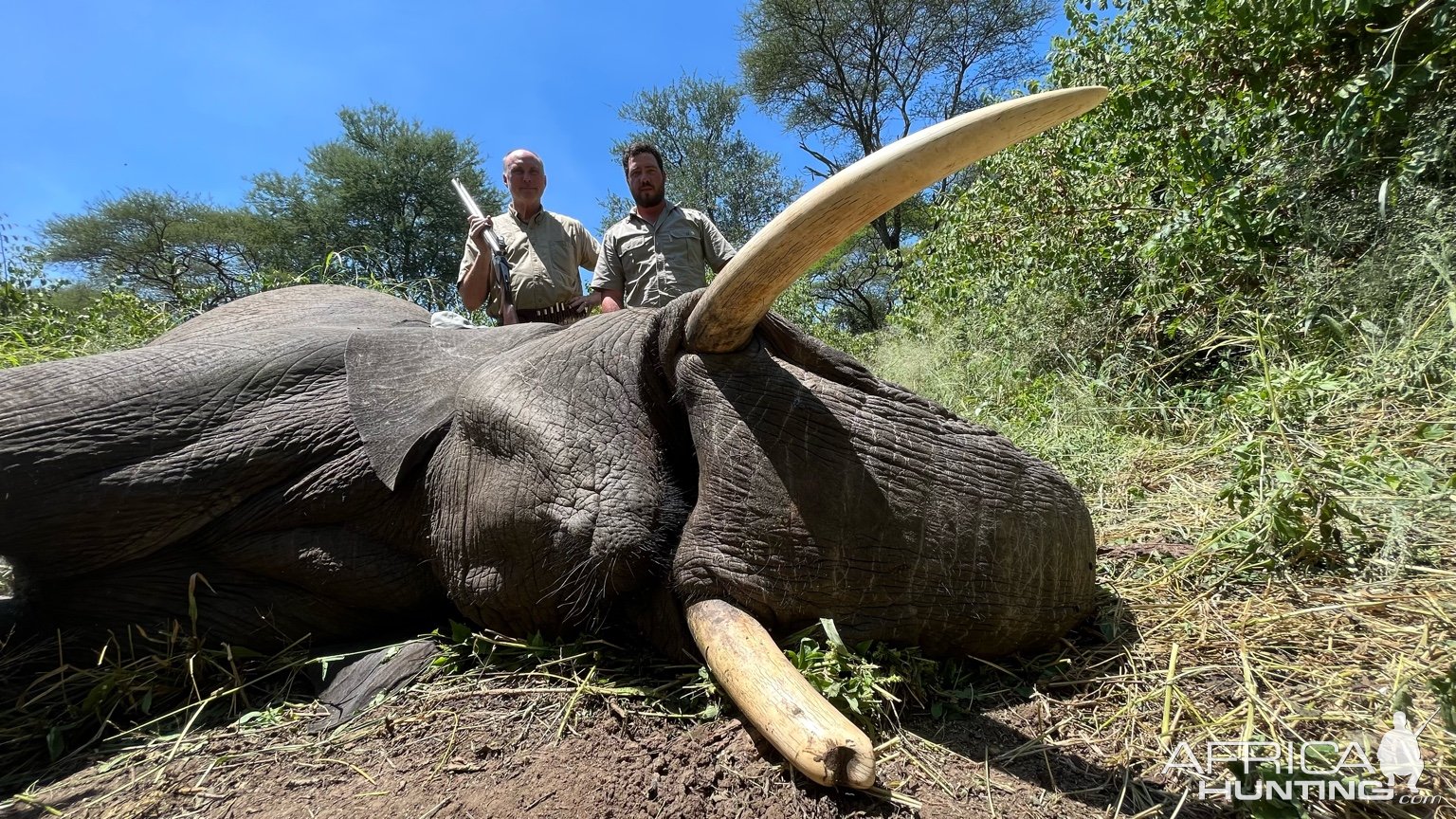 Elephant Hunting Zimbabwe