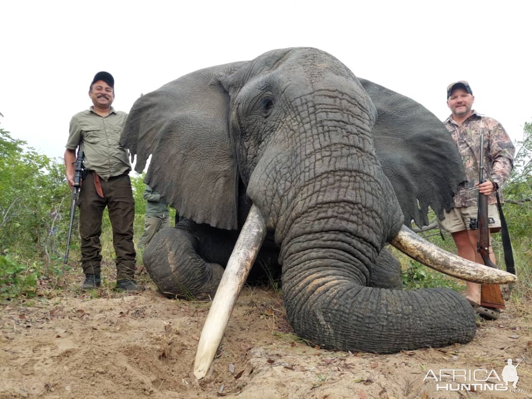 Elephant Hunting Zimbabwe | AfricaHunting.com