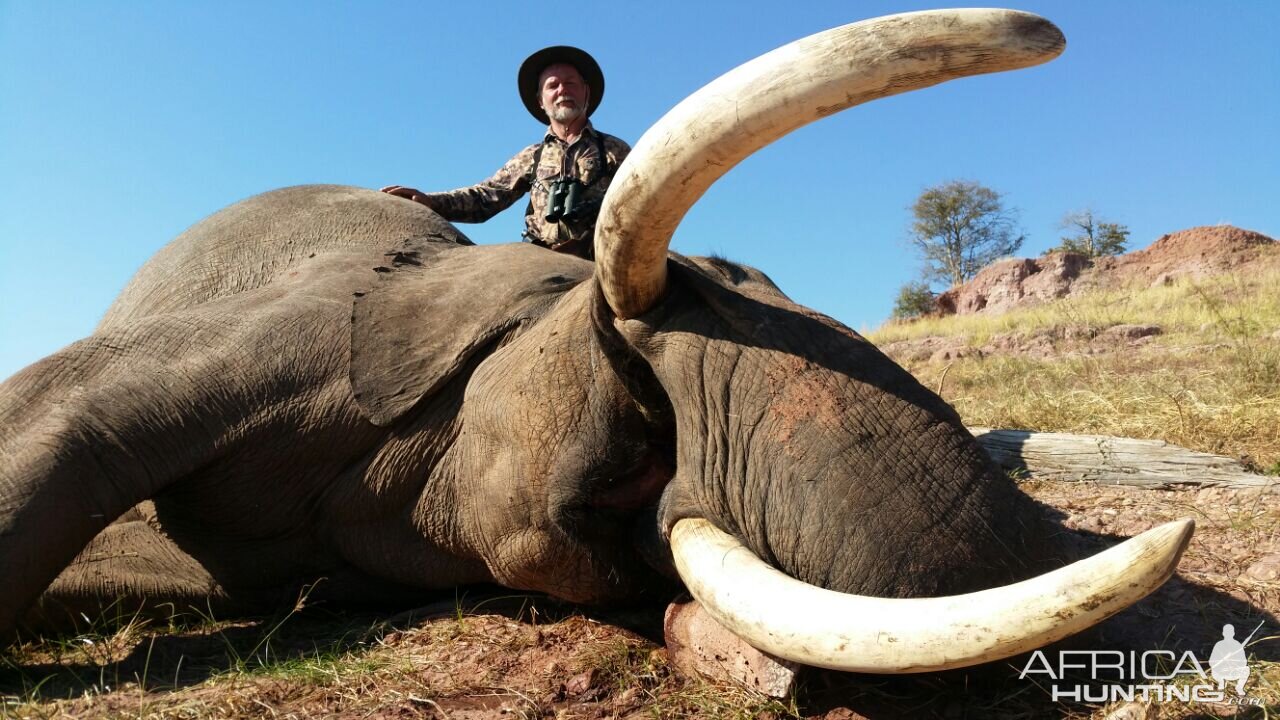 Elephant Hunting Zimbabwe | AfricaHunting.com