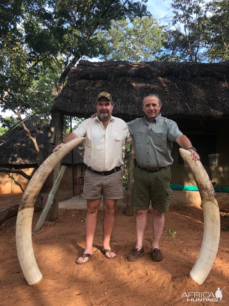 Elephant Hunting Zimbabwe