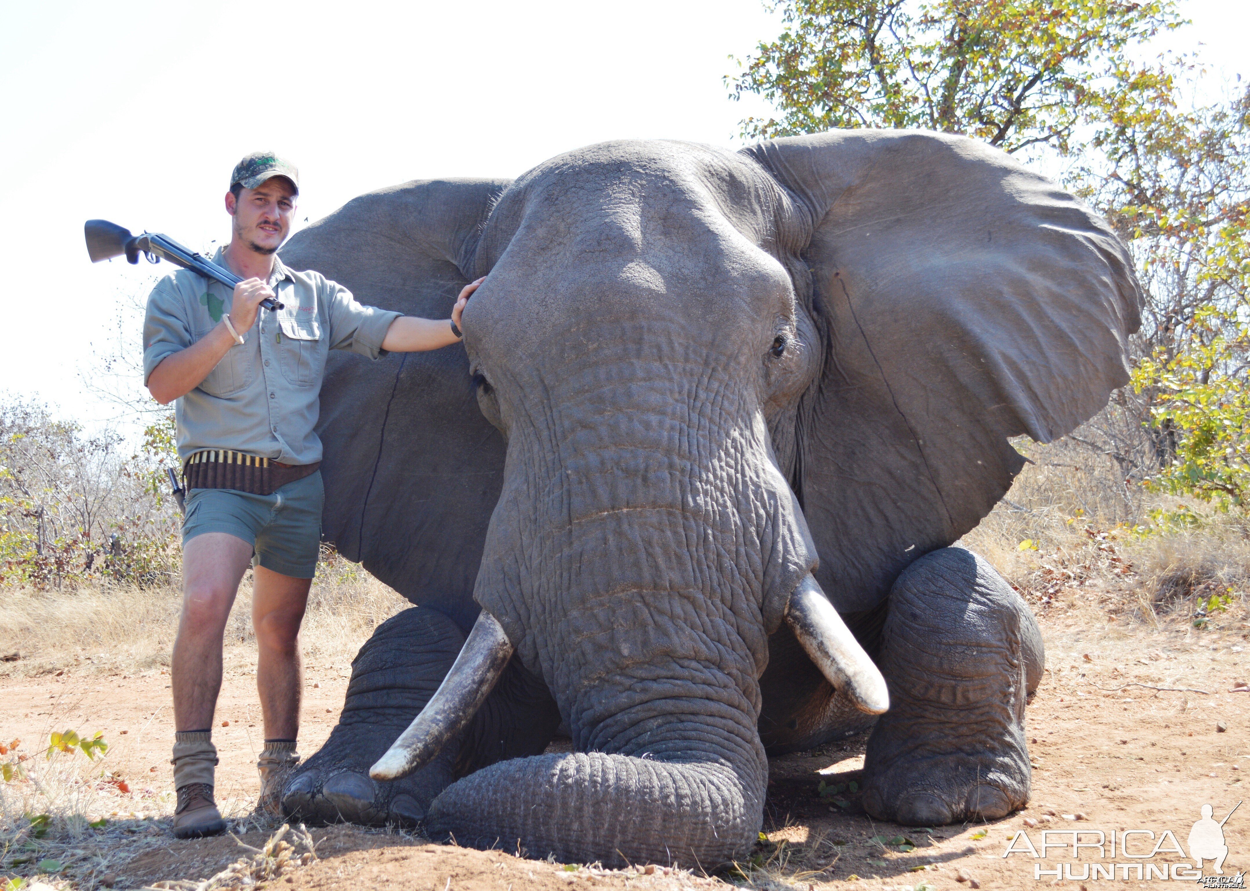 Elephant hunting | AfricaHunting.com