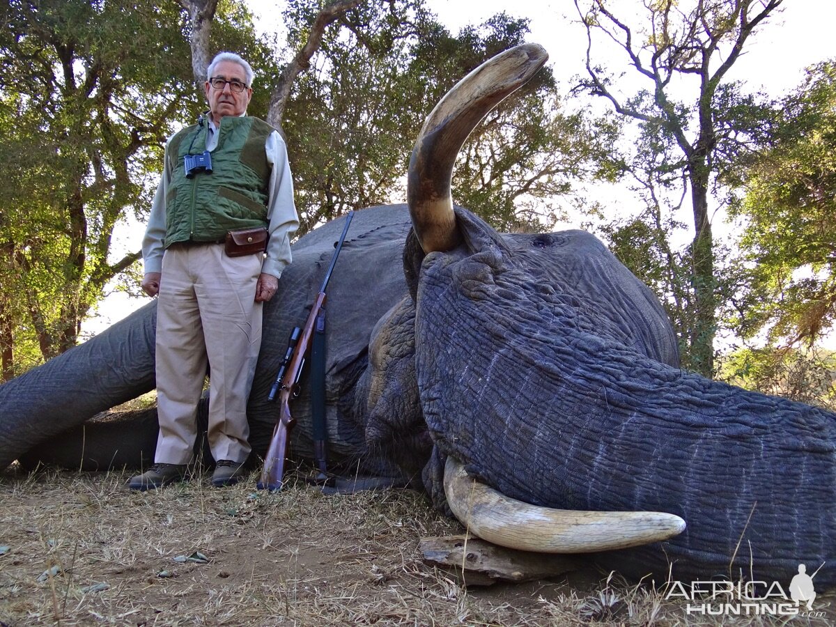 Elephant Hunting | AfricaHunting.com