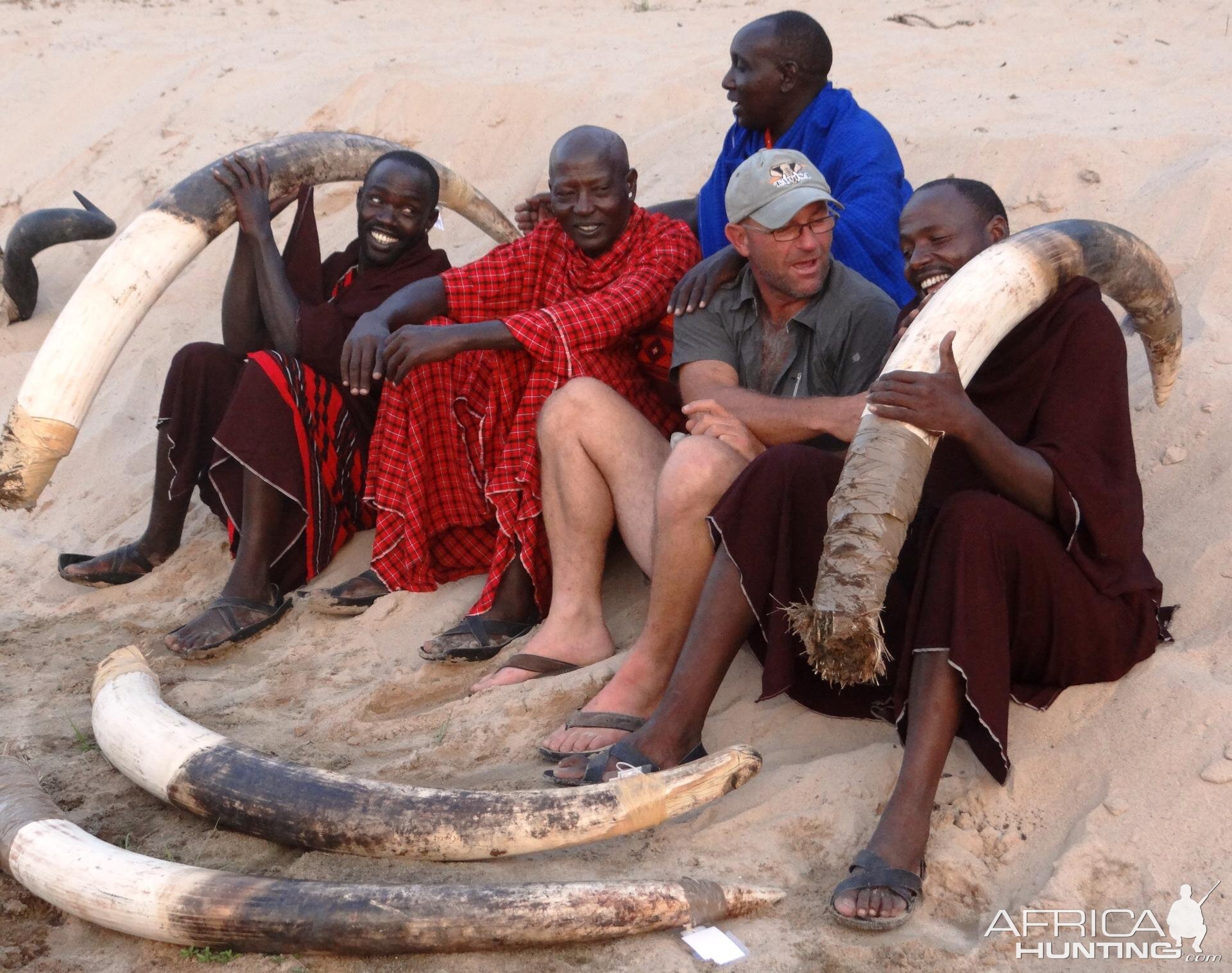 Elephant Tanzania