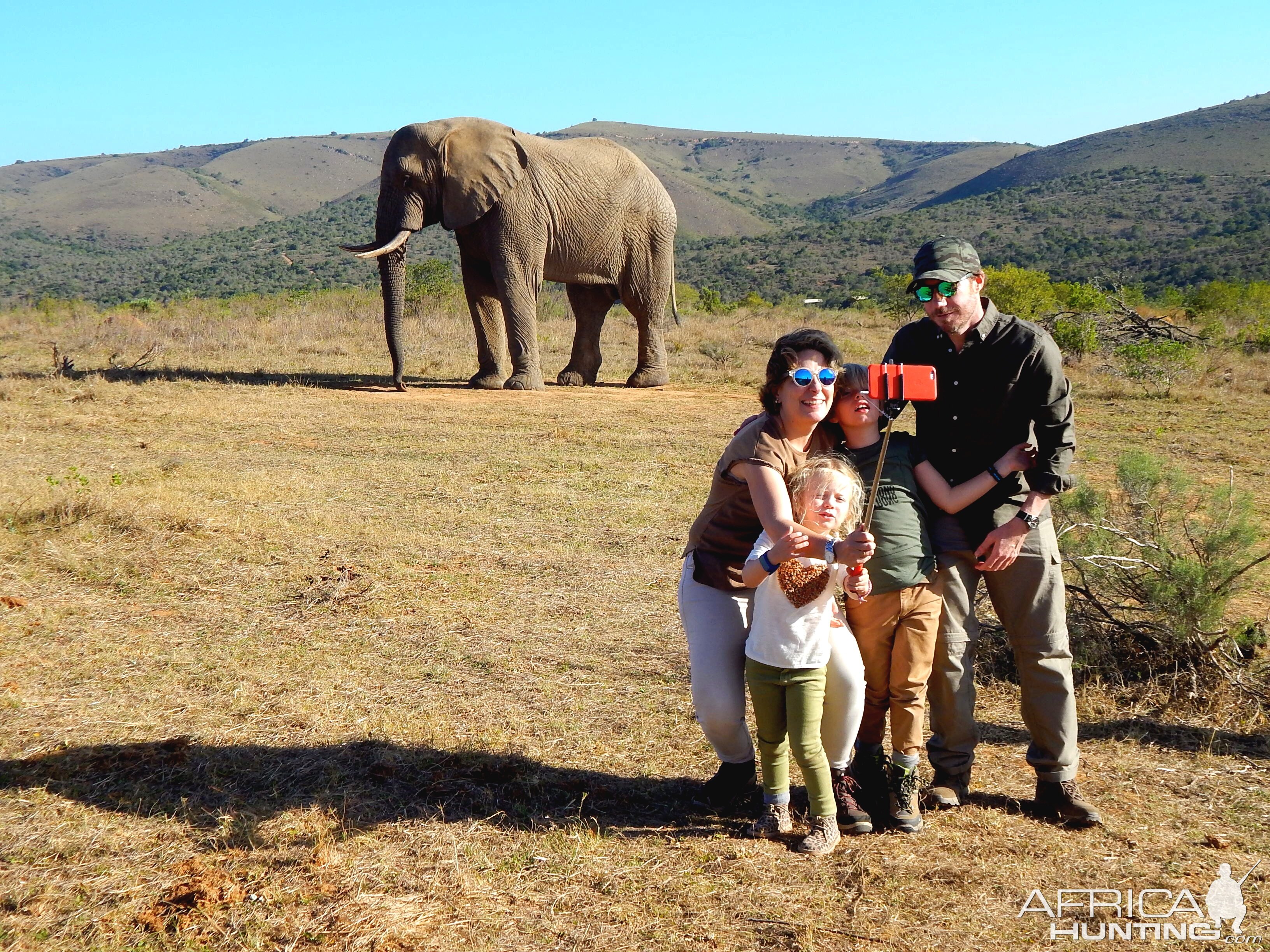 Elephant Visit