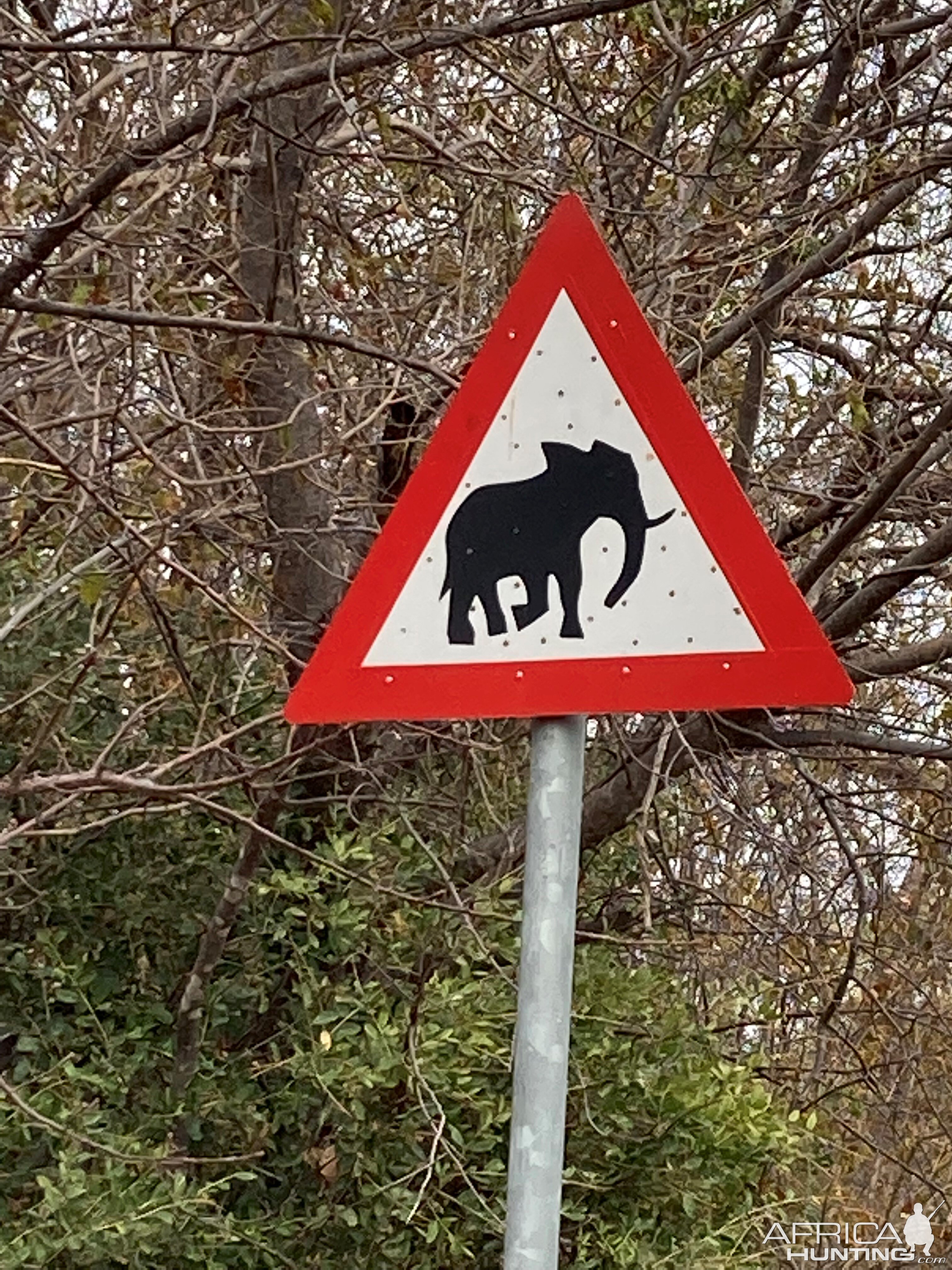 Elephant Warning Road Sign Mozambique