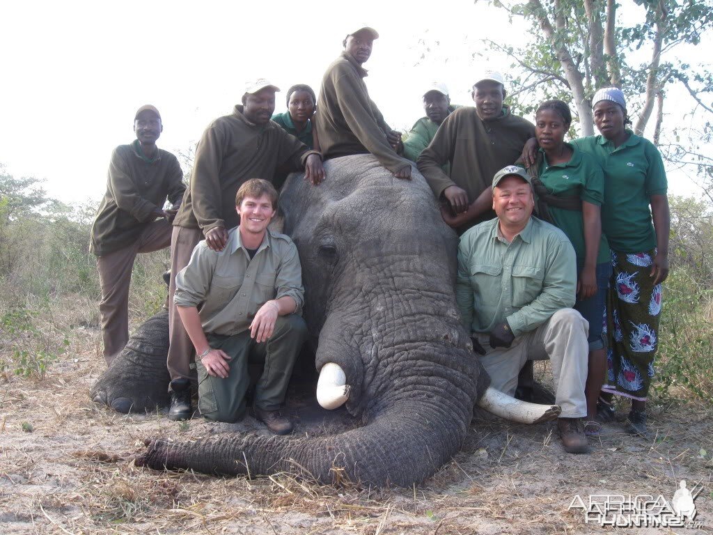 Elephant | AfricaHunting.com