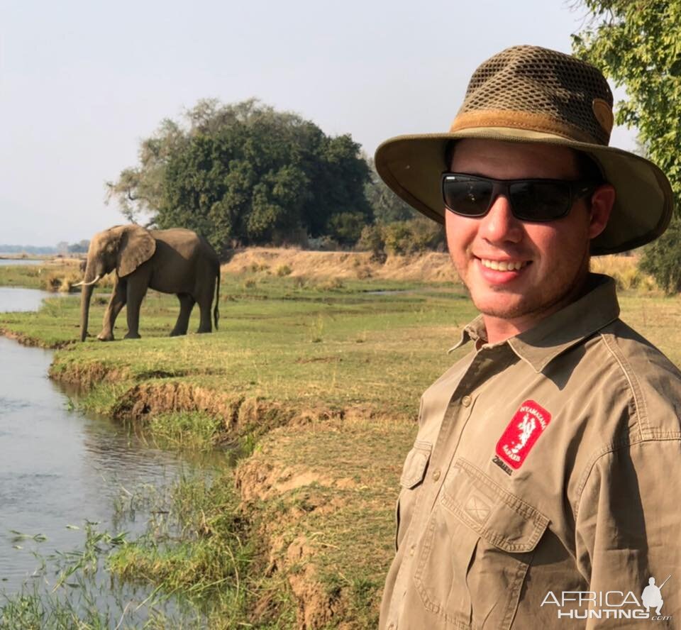 Elephants in Zimbabwe