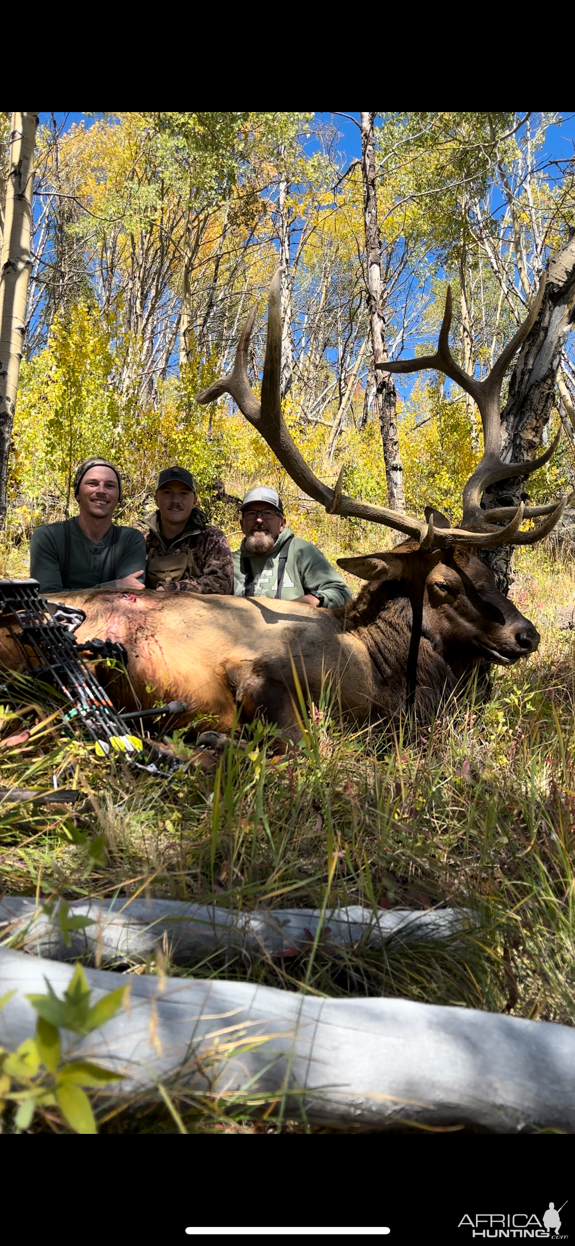 Elk Bow Hunt Colorado