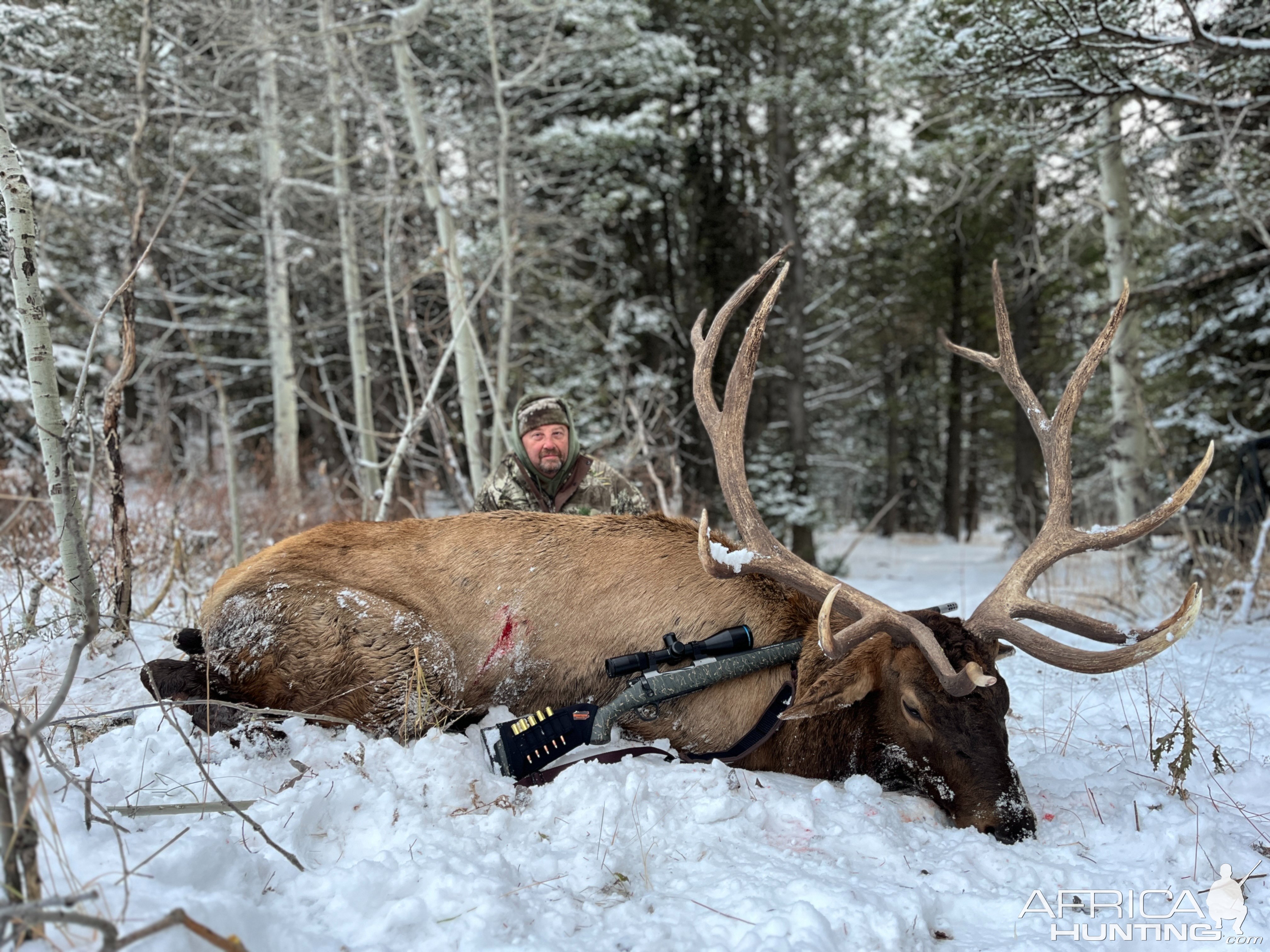 Elk Hunt Idaho