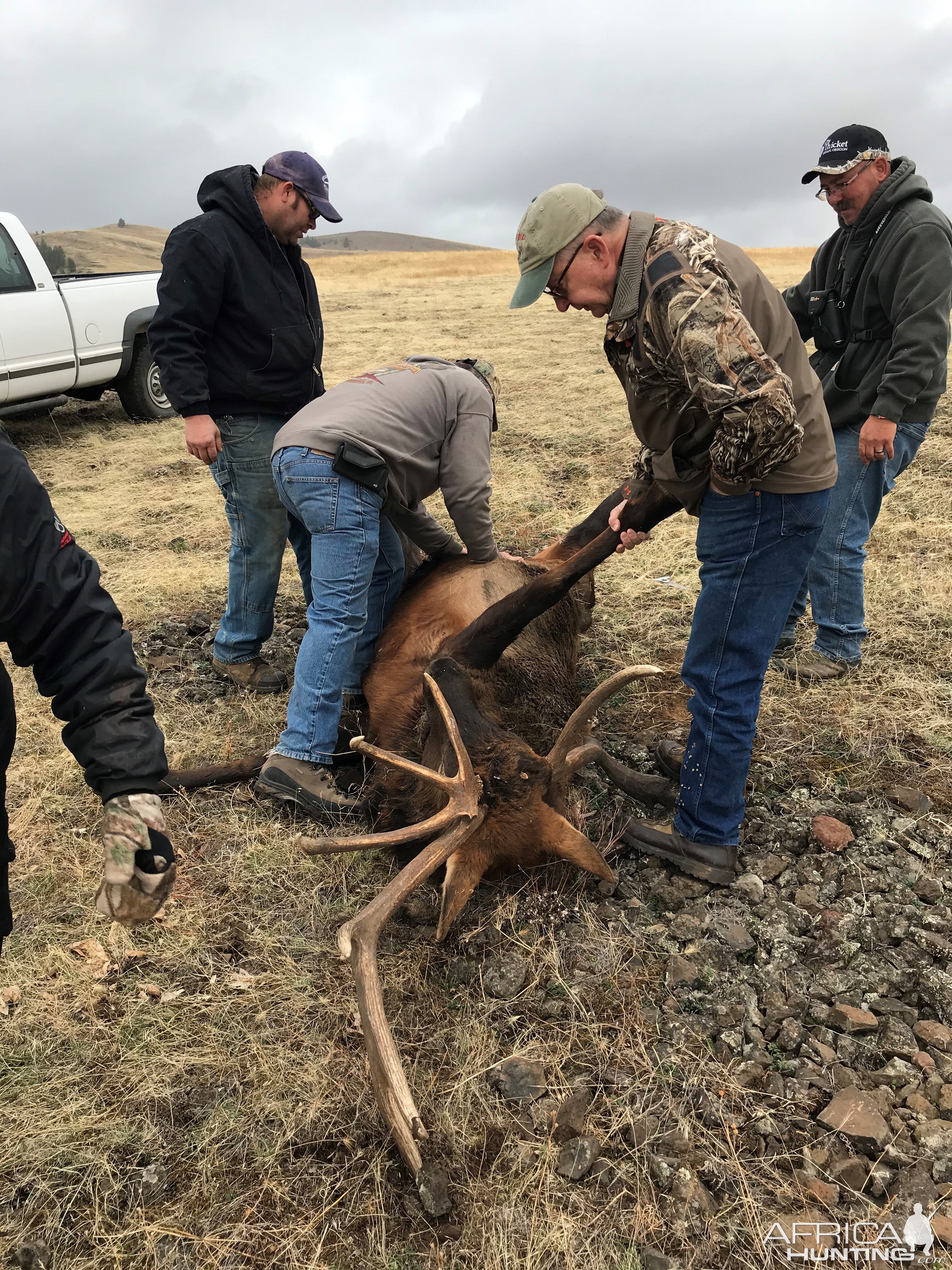 Elk Hunt