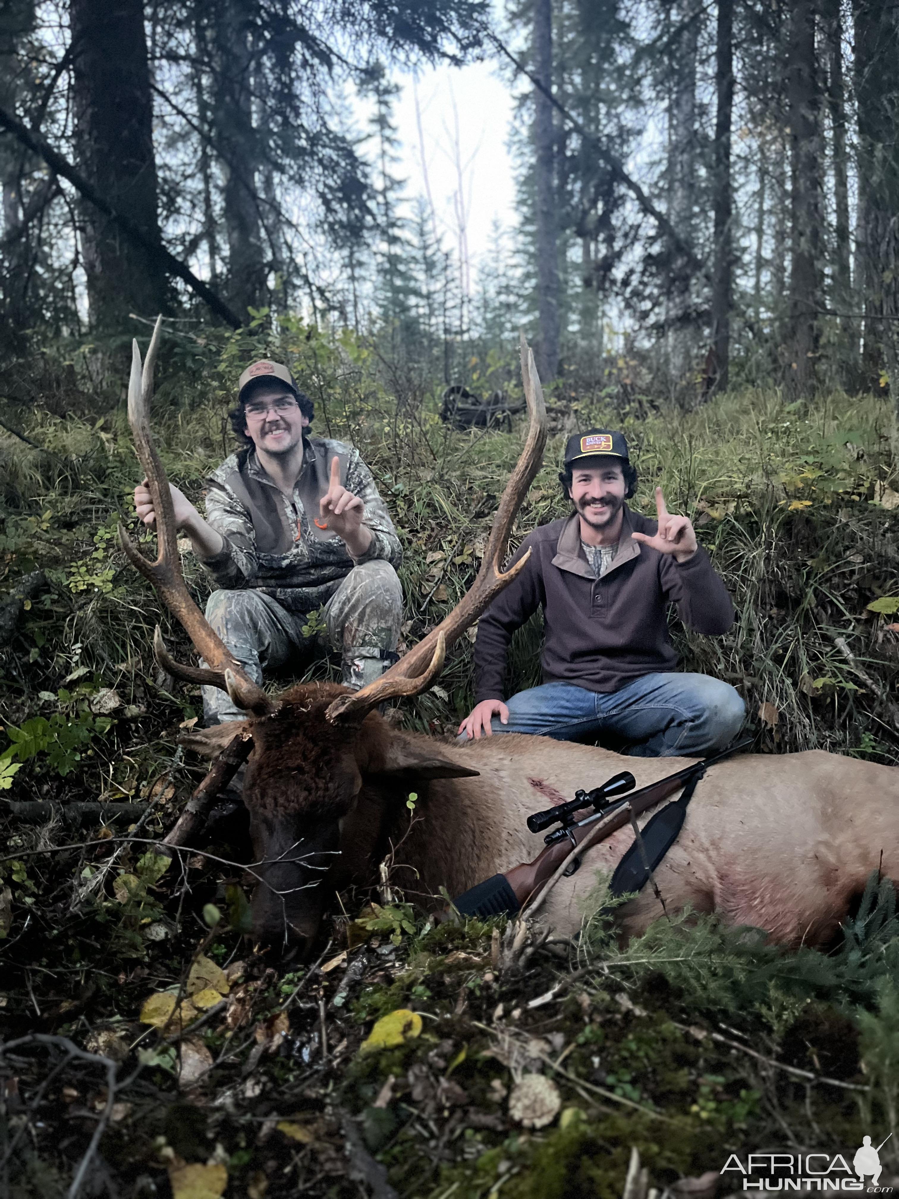 Elk Hunting Canada