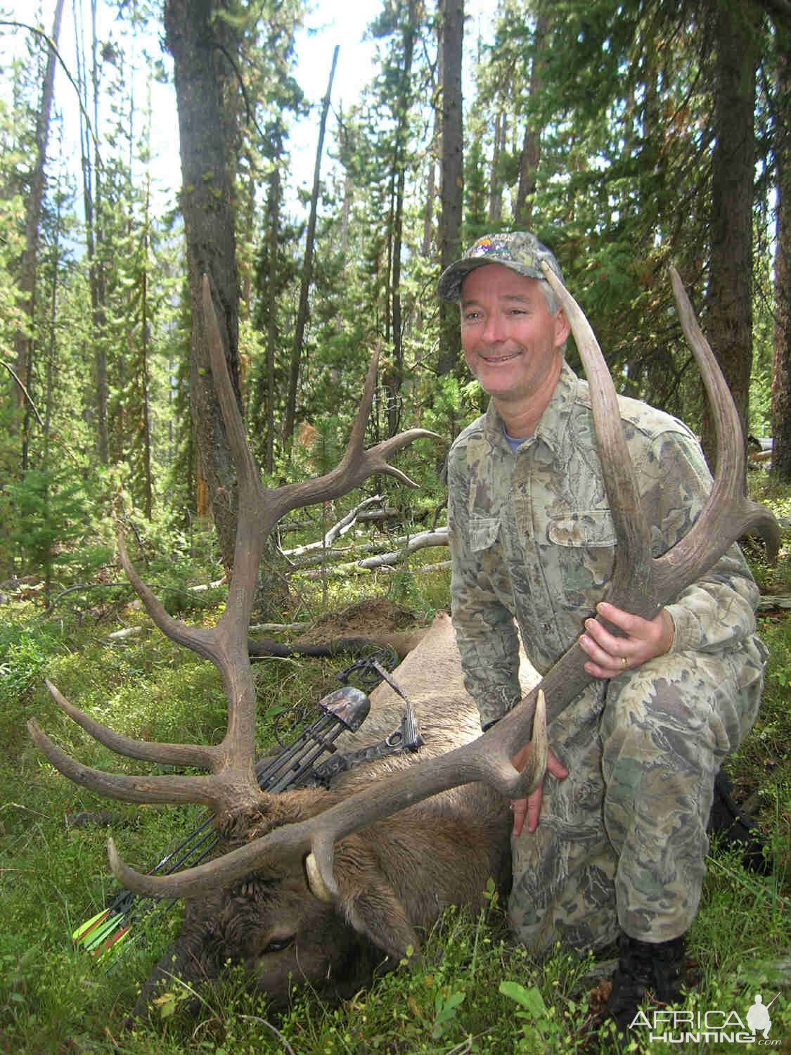 Elk Hunting in Montana