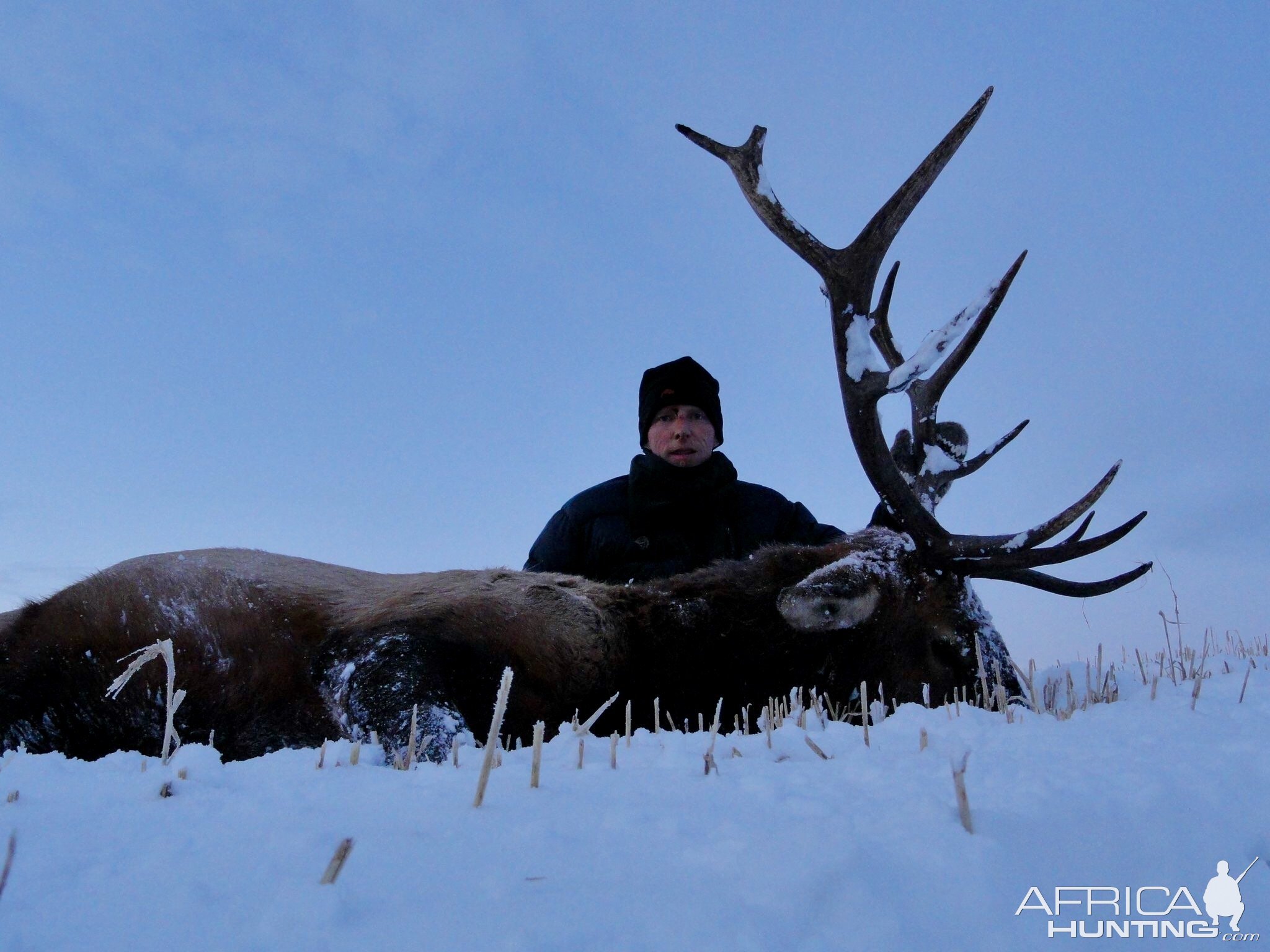 Elk Hunting